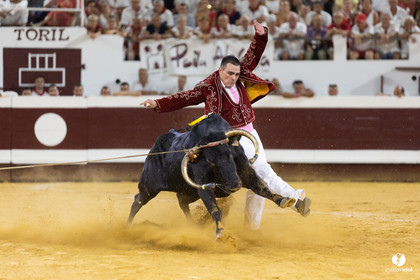 Dax concours landais 2022