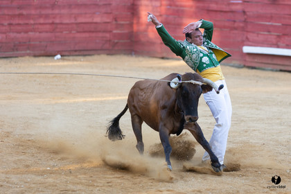 Course landaise à Panjas
