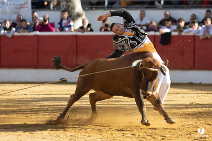Nogaro Championnat de France de course landaise 2022