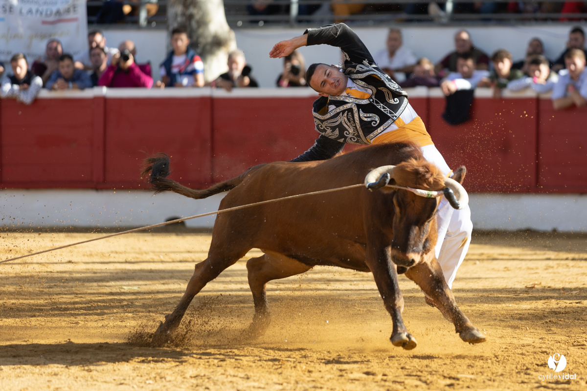 Nogaro Championnat de France de course landaise 2022