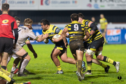 Stade Montois Rugby - Carcassonne