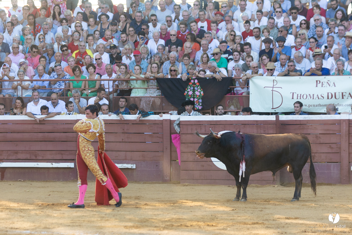 Corrida de Villeneuve-de-Marsan