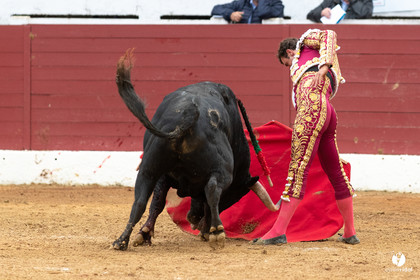 Corrida d'Aire sur l'Adour