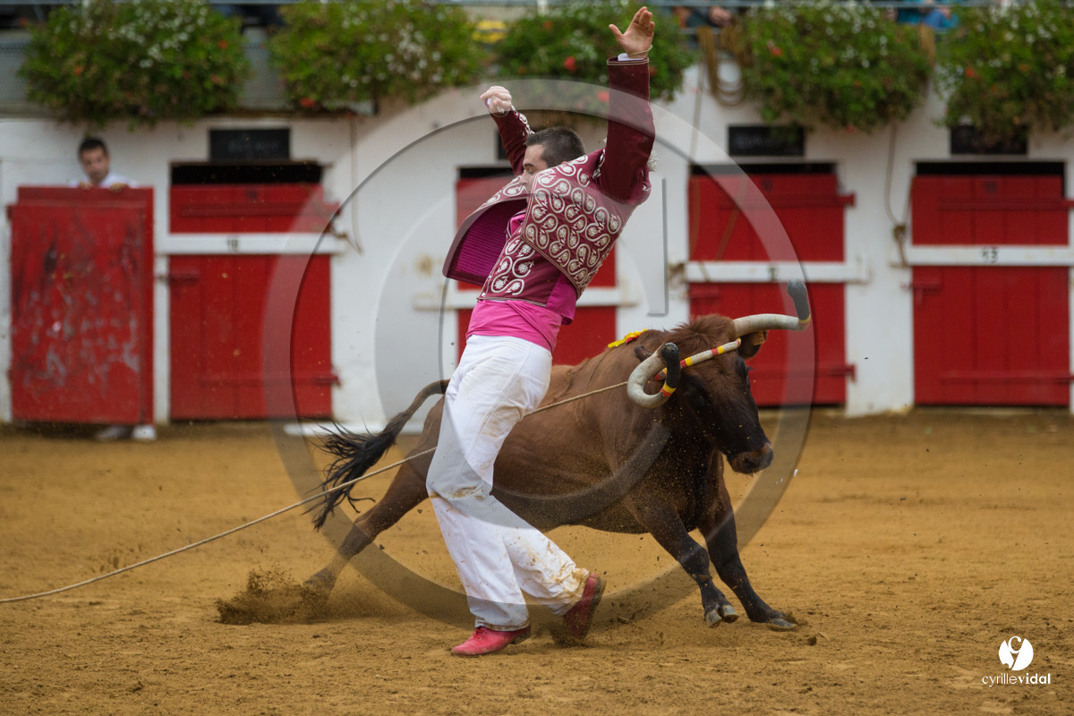 Nogaro Championnatde France de Course Landaise 2017
