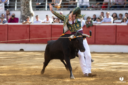 Nogaro Championnat de France de course landaise 2022