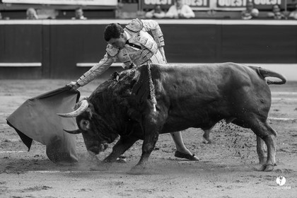 Mont-de-Marsan corrida de Dolores Aguirre pour Octavio Chacon - Pepe Moral - Juan Léal