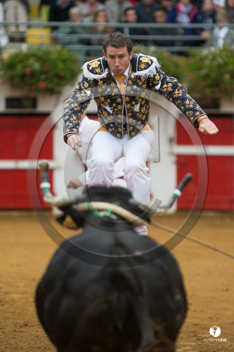 Nogaro Championnatde France de Course Landaise 2017