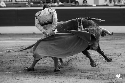 Mont-de-Marsan corrida de Dolores Aguirre pour Octavio Chacon - Pepe Moral - Juan Léal