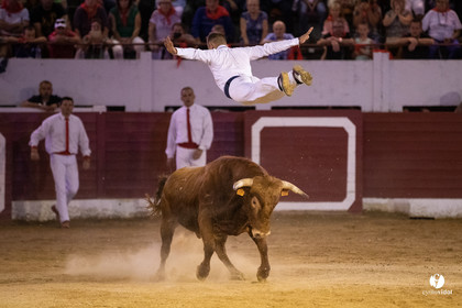 Landes émotions à Aire-sur-l'Adour