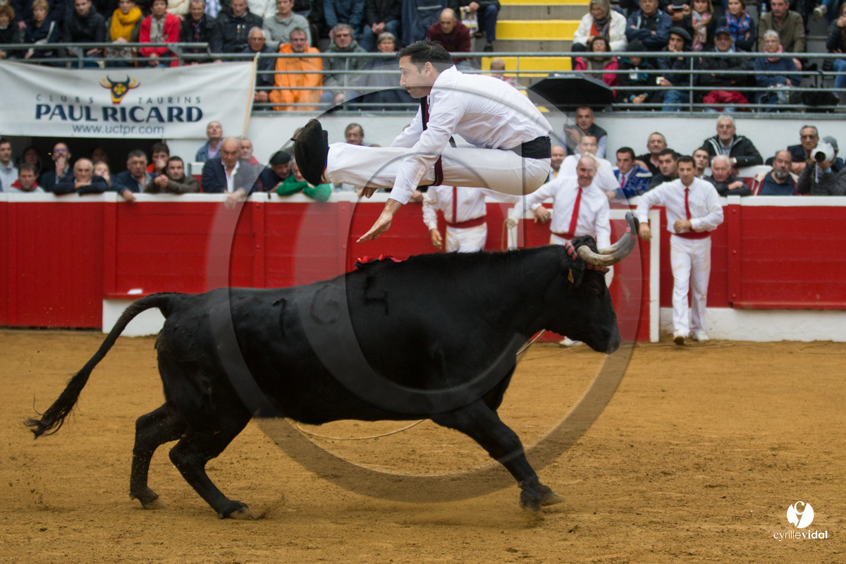 Nogaro Championnatde France de Course Landaise 2017