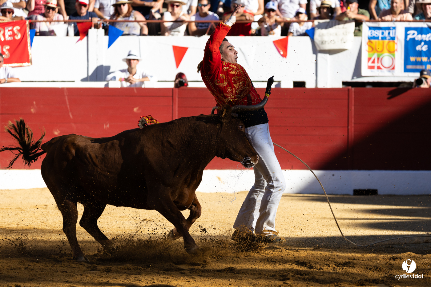 Aire-sur-l'Adour Championnat de France de course landaise 2023