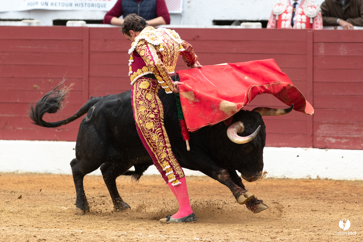 Corrida d'Aire sur l'Adour