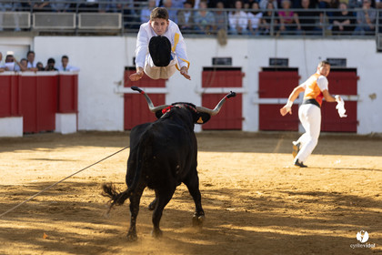 Nogaro Championnat de France de course landaise 2022