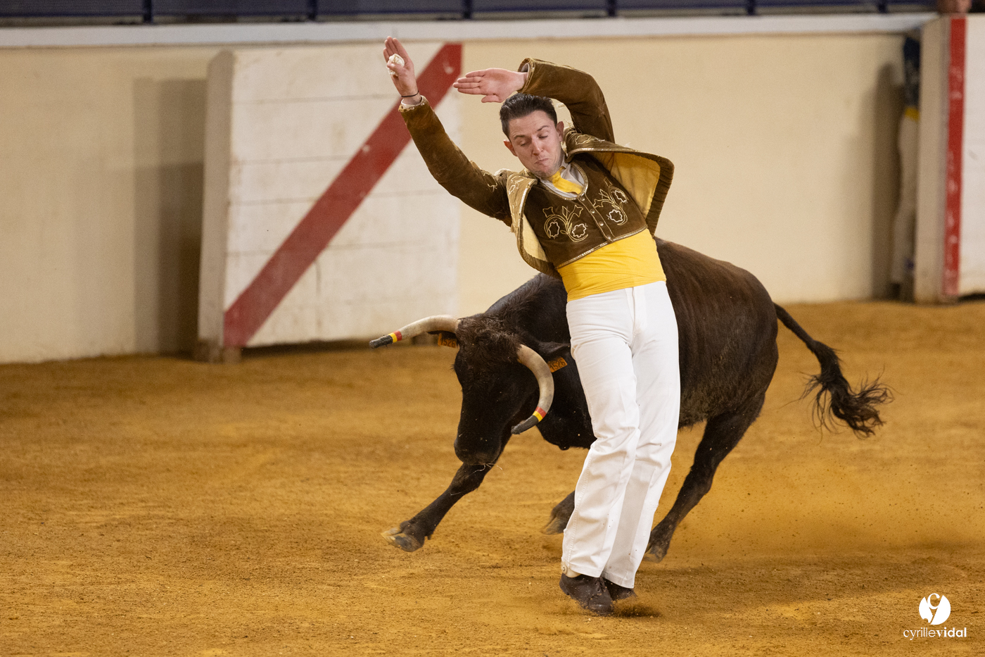 Horsarrieu course landaise du boléro d'Argent