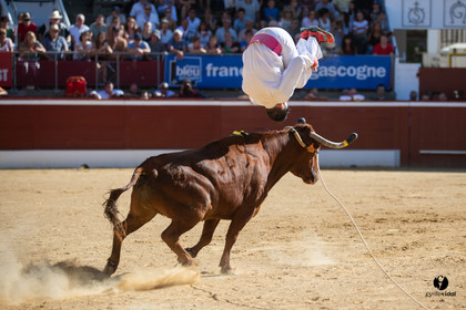 Mont-de-Marsan championnat de France de course landaise 2019
