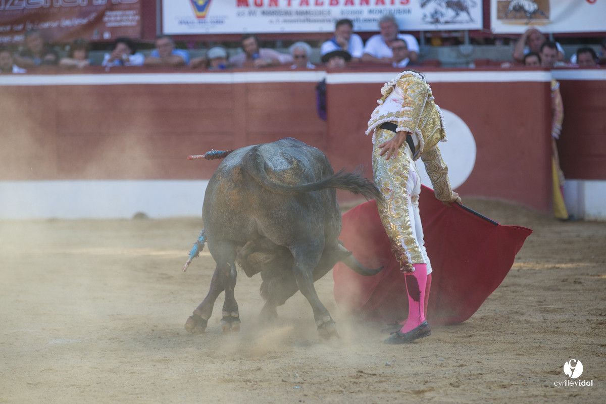 Mont-de-Marsan corrida d'Adolfo Martin