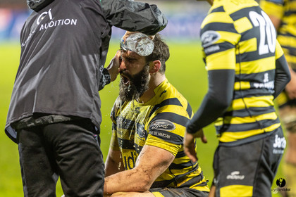 Stade Montois Rugby - Carcassonne