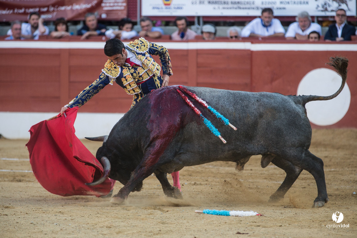 Mont-de-Marsan corrida d'Adolfo Martin