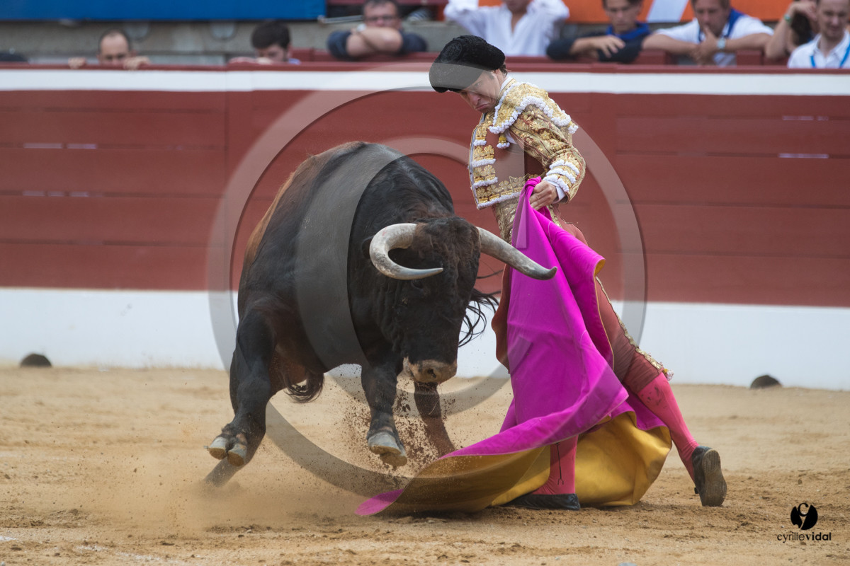 Mont-de-Marsan corrida de Garcigrande pour El Juli et Juan Bautista
