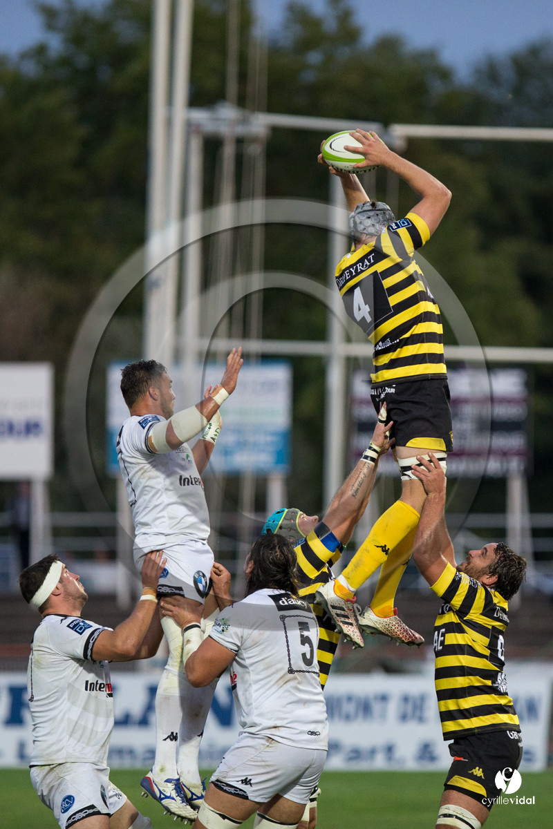 Rugby STADE MONTOIS - VANNES