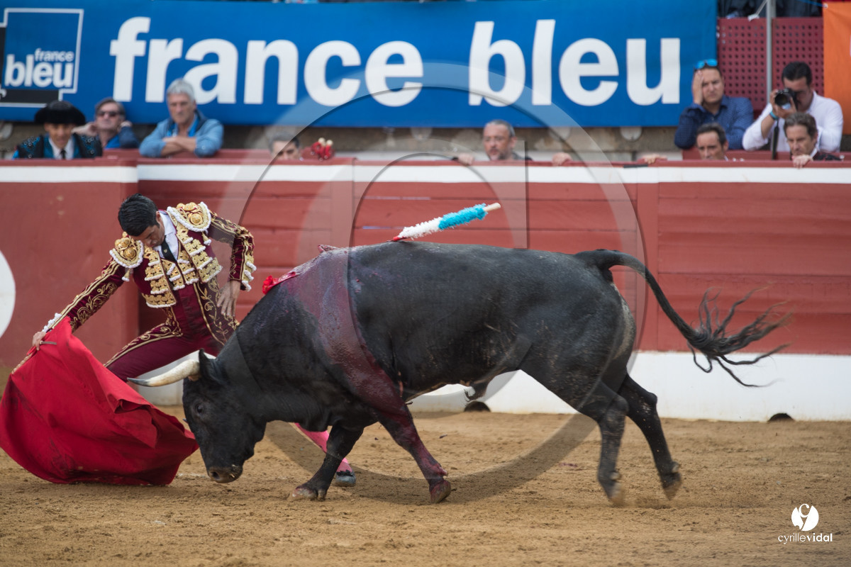 Mont-de-Marsan corrida de la Quinta pour Juan Bautista - Emilio de Justo - Thomas DUFAU