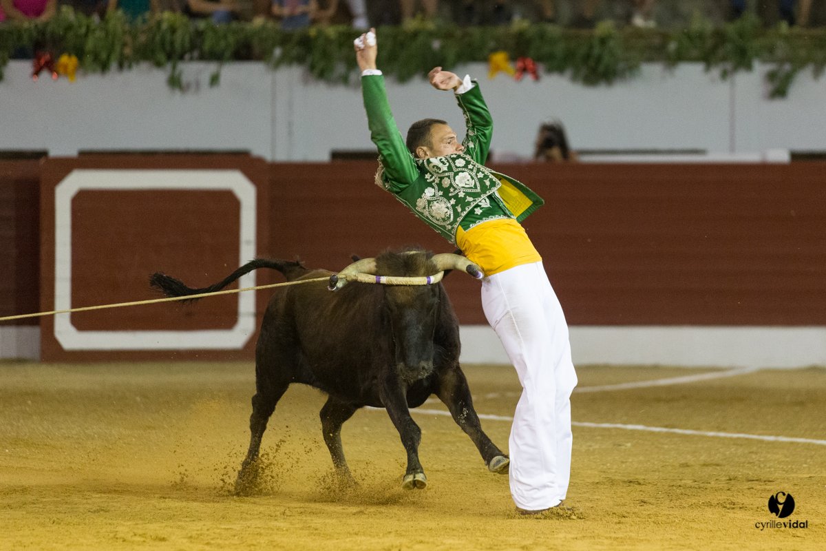 Aire sur l'Adour course landaise génération Aturine