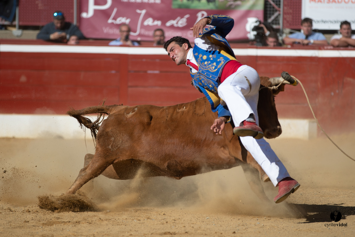 Mont-de-Marsan championnat de France de course landaise 2019