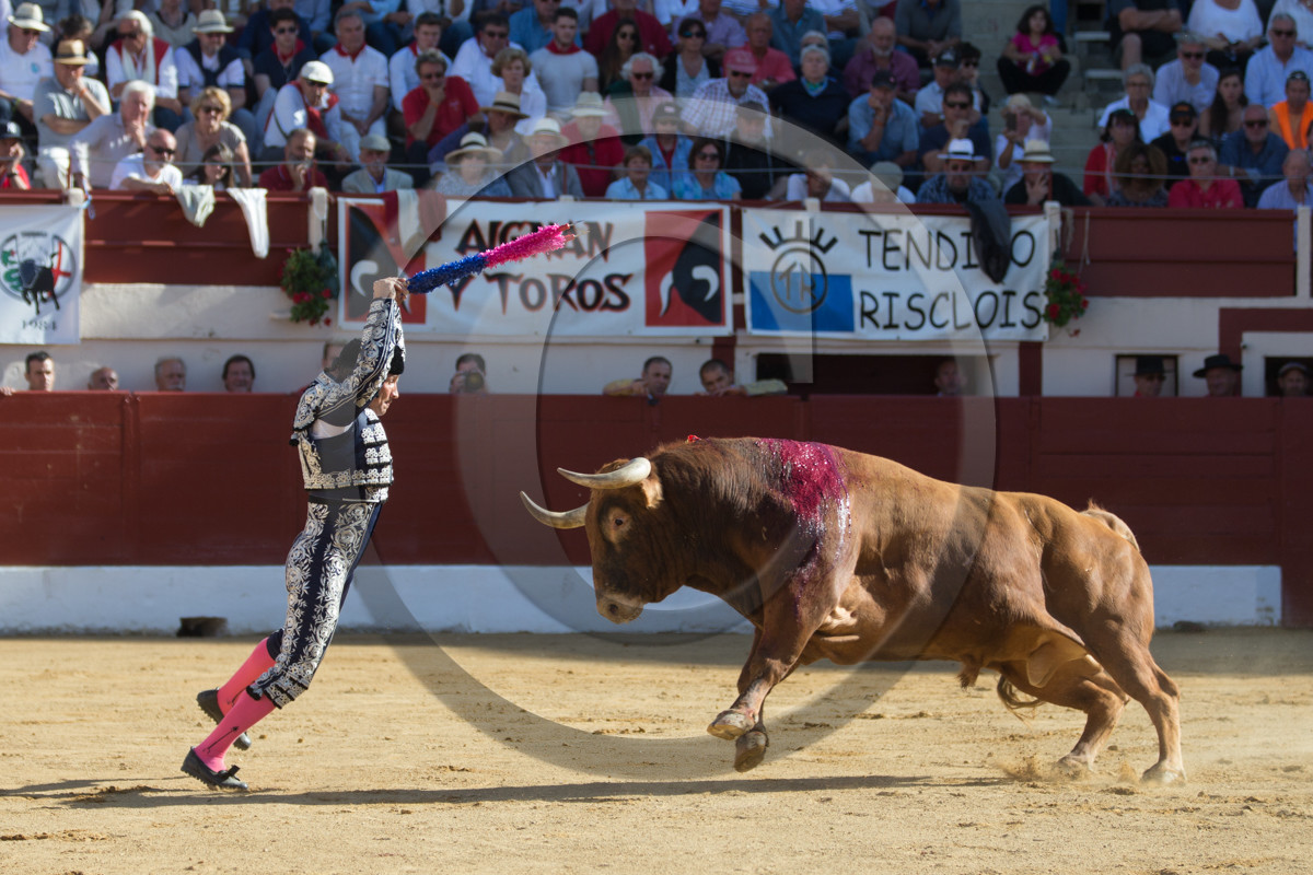 corrida, toro, vic fezensac, alcurrucen, michelito, morenito de aranda
