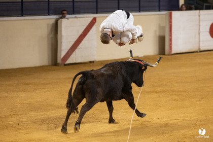 Horsarrieu course landaise du boléro d'Argent