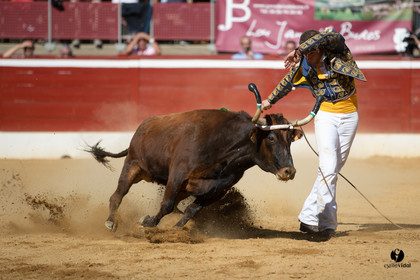Mont-de-Marsan championnat de France de course landaise 2019