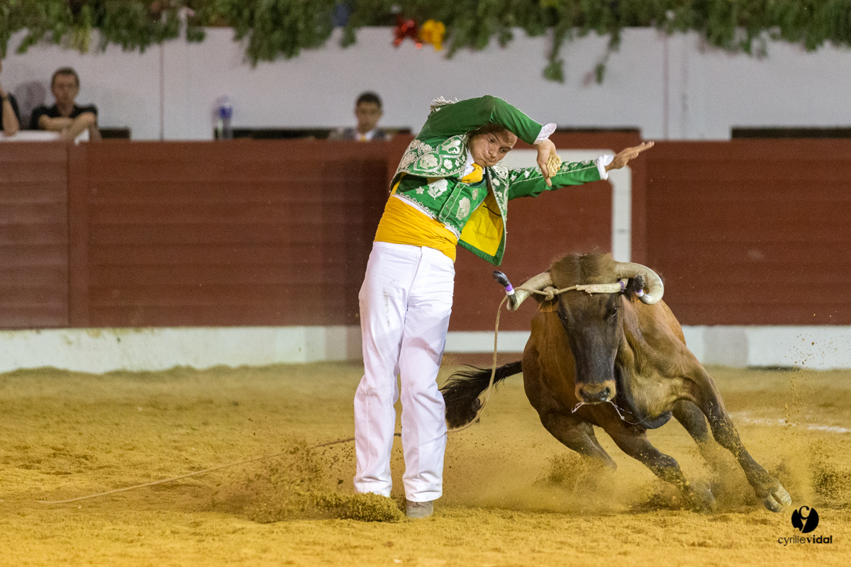 Aire sur l'Adour course landaise génération Aturine