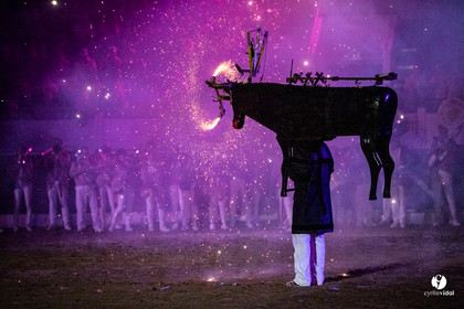 Landes émotions à Aire-sur-l'Adour