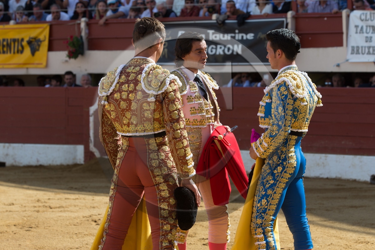 corrida, toro, vic fezensac, alcurrucen, michelito, morenito de aranda