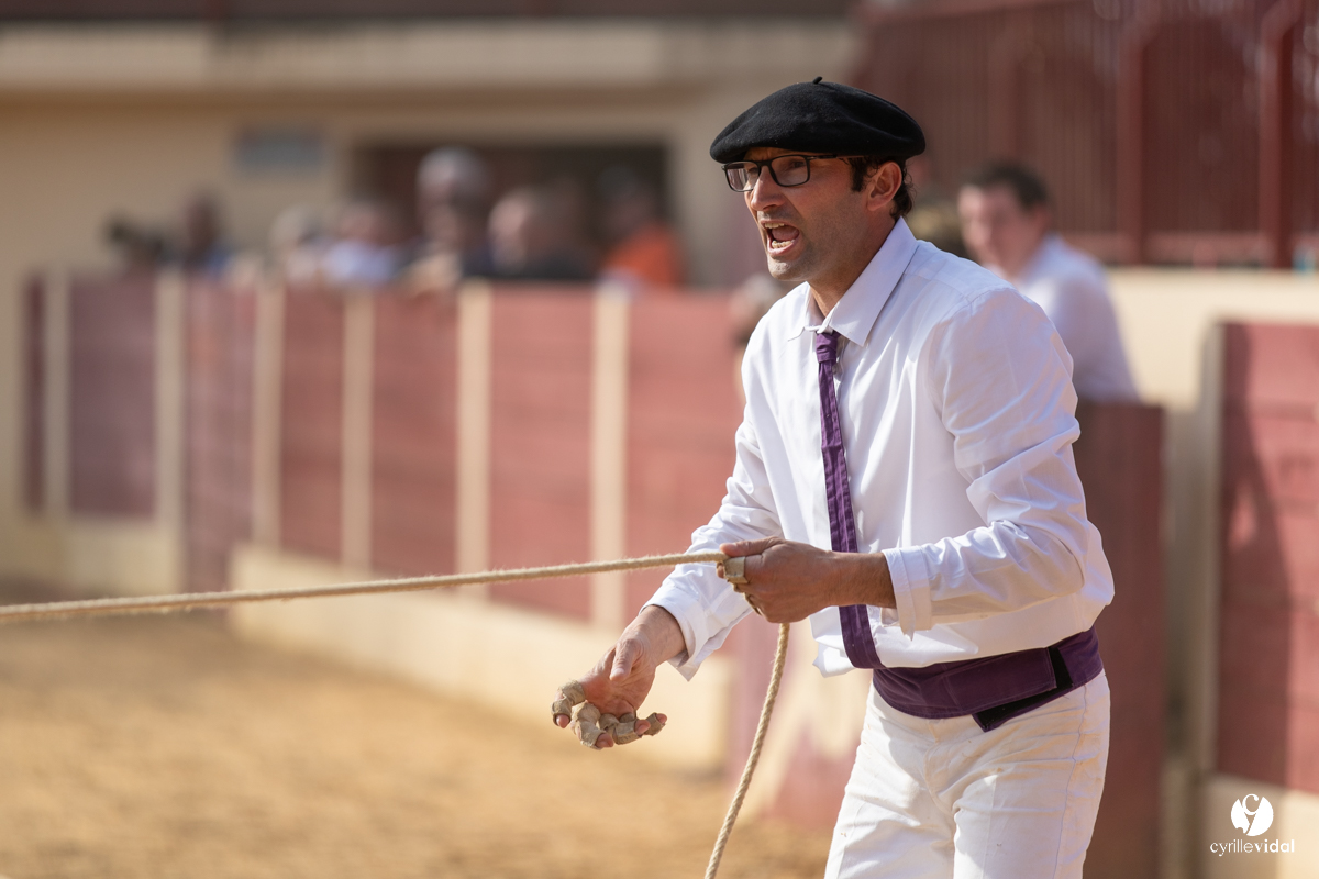 Course landaise Le Houga Ganadéria Dussau Cuadrilla Alexandre Brethes