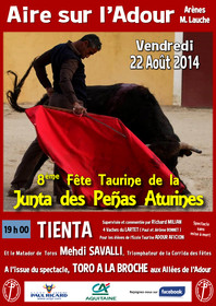 Affiches taurines Aire sur l'Adour