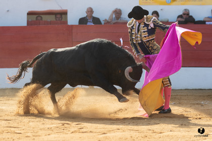 Corrida Aignan