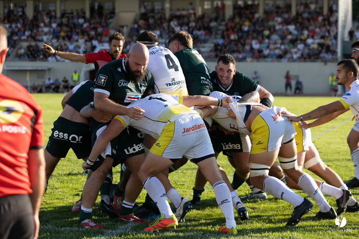 Stade Montois Rugby - Section Paloise