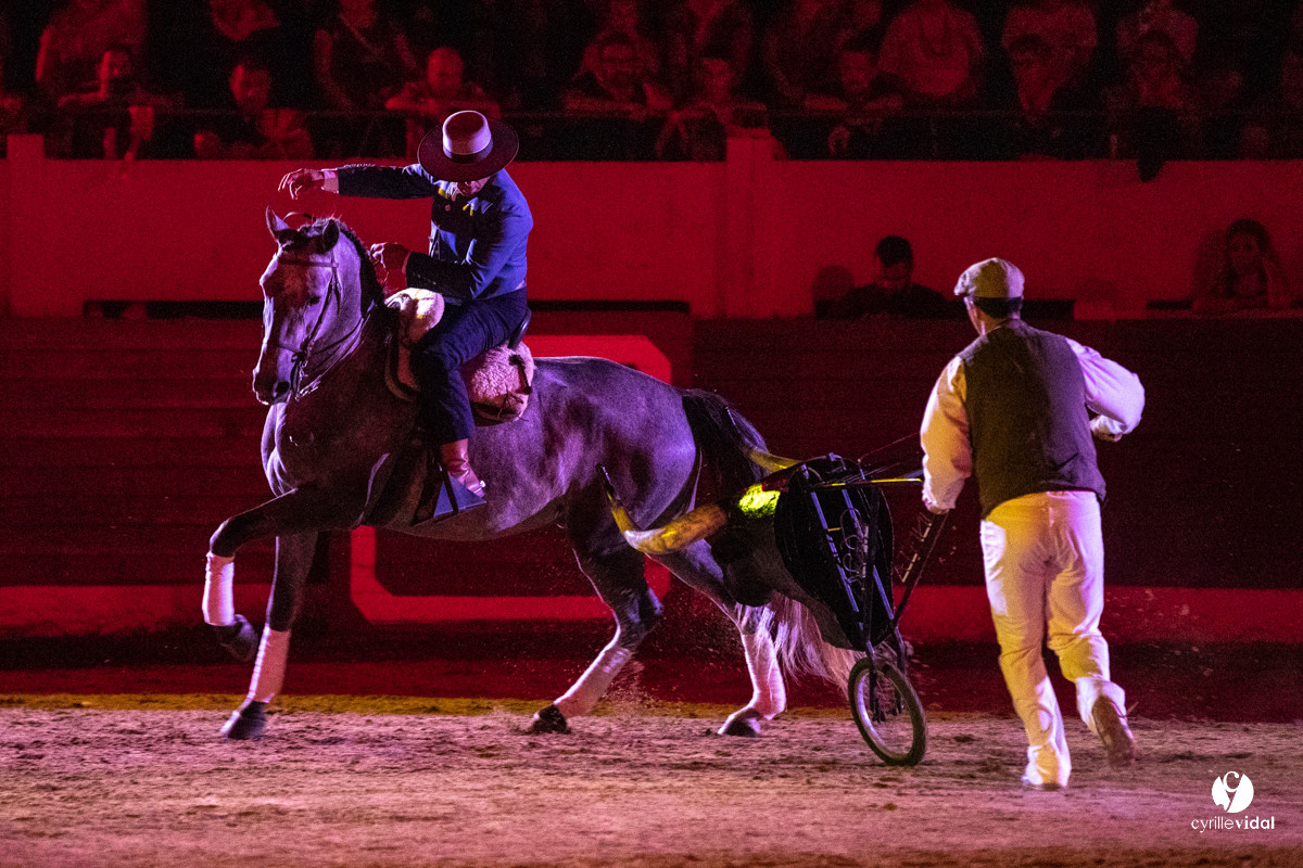Landes émotions à Aire-sur-l'Adour