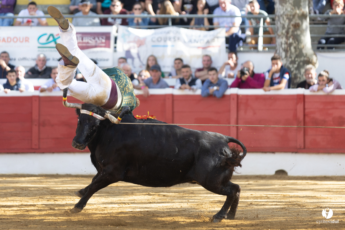 Nogaro Championnat de France de course landaise 2022