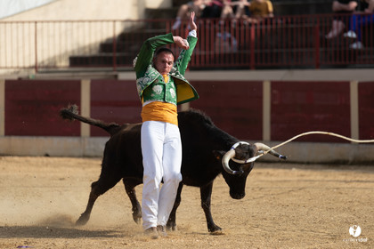 Course landaise Le Houga Ganadéria Dussau Cuadrilla Alexandre Brethes