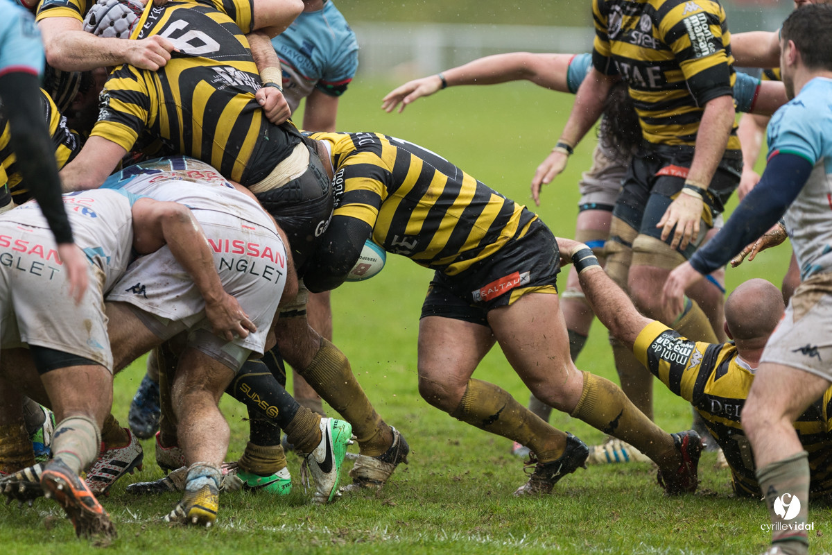 Bayonne - Stade Montois