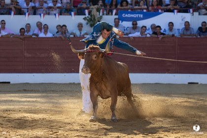 Aire-sur-l'Adour Championnat de France de course landaise 2023