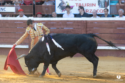 Corrida de Villeneuve-de-Marsan