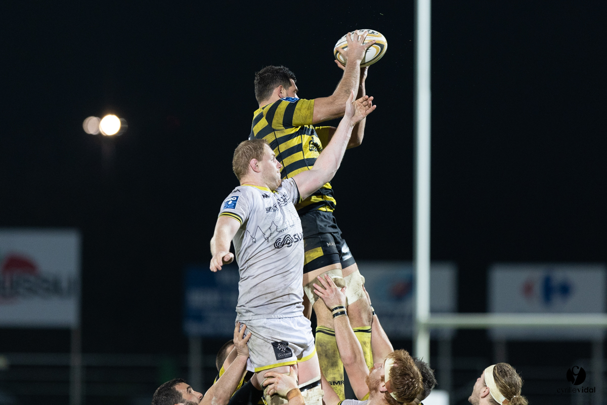 Stade Montois Rugby - Carcassonne
