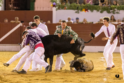 Aire sur l'Adour course landaise génération Aturine