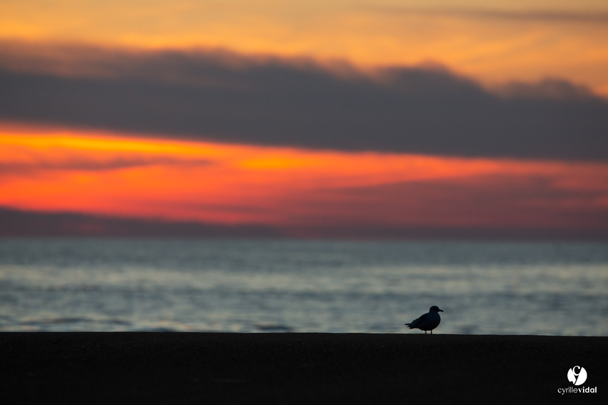 Océan Capbreton - Hossegor et Lac