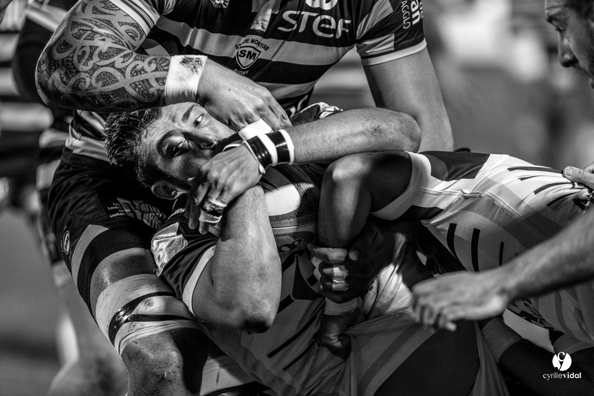 Stade Montois Rugby - Colomiers