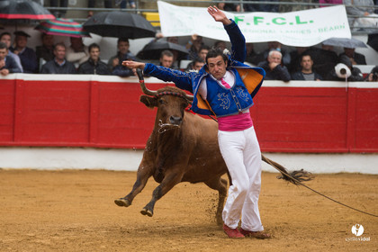 Nogaro Championnatde France de Course Landaise 2017