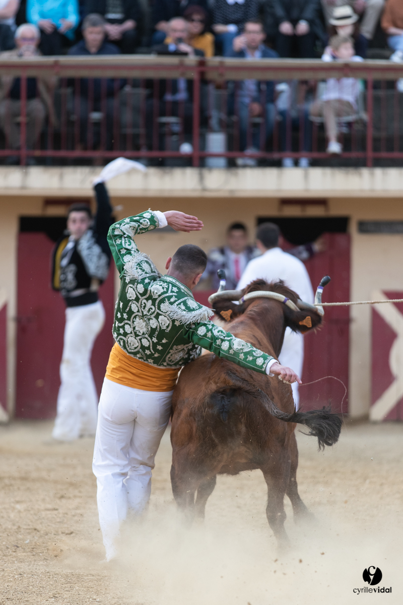 Course landaise Le Houga Ganadéria Dussau Cuadrilla Alexandre Brethes