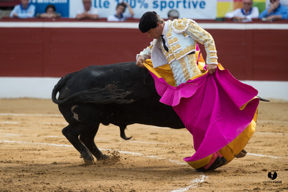 Mont-de-Marsan corrida de Garcigrande pour El Juli et Juan Bautista